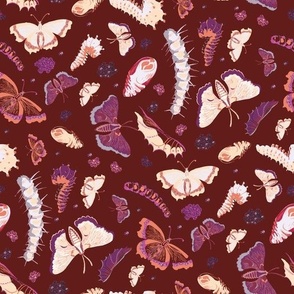 Moths, Butterflies and Caterpillars Life Cycle  - White, pink, and purple on burgundy