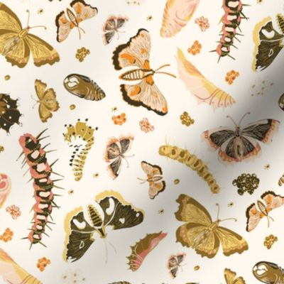 Moths, Butterflies and Caterpillars Life Cycle  - Brown, Pink and Orange on Vanilla White 
