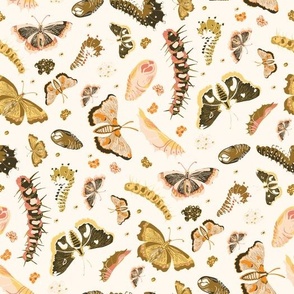 Moths, Butterflies and Caterpillars Life Cycle  - Brown, Pink and Orange on Vanilla White 