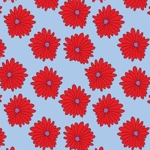 Scarlet Chrysanthemums on Forget-Me-Not blue background