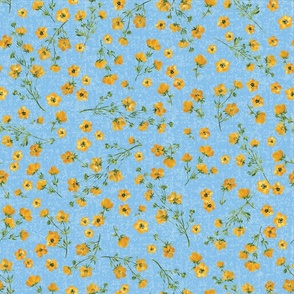 Medium Scale Yellow Watercolor Buttercup Flowers on Textured Baby Blue Background