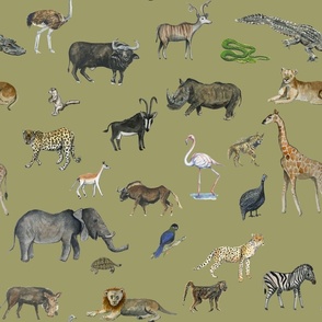 Safari Animals on a green background