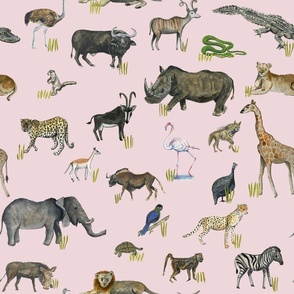 Safari animals on a pink background