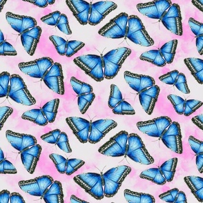 Blue Morpho Butterfly on Pink Clouds Medium Scale