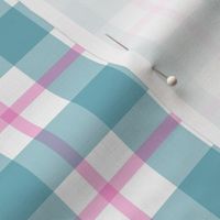 Teal & Raspberry Checks-med