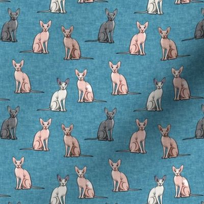 (small scale) Sphynx Cats - Hairless Cats Sitting -  Multi Blue 2- C23