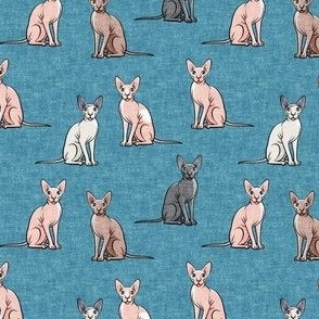 (small scale) Sphynx Cats - Hairless Cats Sitting -  Multi Blue 2- C23