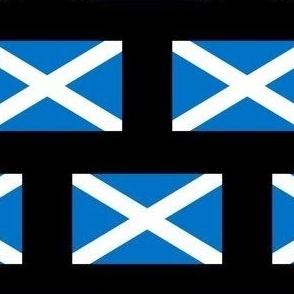 MINI Scotland flag fabric - scottish_ alba_ blue and white_ snp black 4in