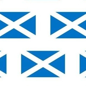 MINI Scotland flag fabric - scottish_ alba_ blue and white_ snp white 4in