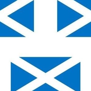 SMALL Scotland flag fabric - scottish_ alba_ blue and white_ snp white 6in