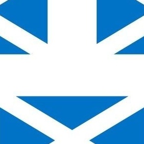 MEDIUM Scotland flag fabric - scottish_ alba_ blue and white_ snp white 8in