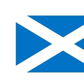 XLARGE Scotland flag fabric - scottish_ alba_ blue and white_ snp white 12in