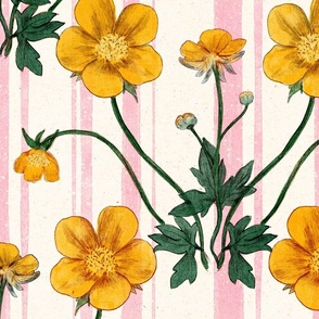 Large scale yellow buttercup flowers on a pink striped background