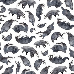 Watercolour badgers