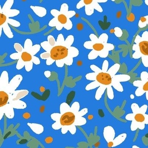 Daisy Flowers White Flowers on Blue Background Spring Flowers