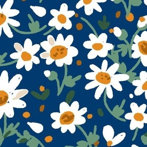 Daisy Flowers White Flowers on Navy Blue Background Spring Flowers