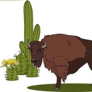 bison grass