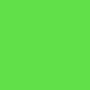 Neon Green Aesthetic Wallpaper Background Plain Solid Color