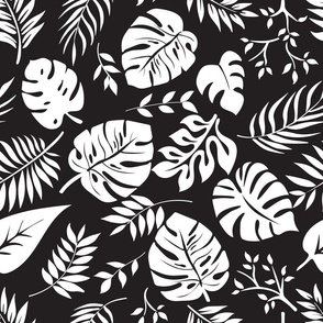 Tropical Monstera Leaves Black