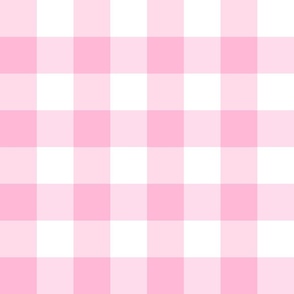 Pink-nic Blanket Gingham