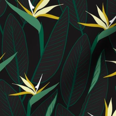 Birds of Paradise and leaves M - Dark green