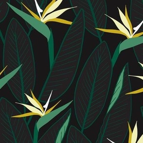 Birds of Paradise and leaves M - Dark green