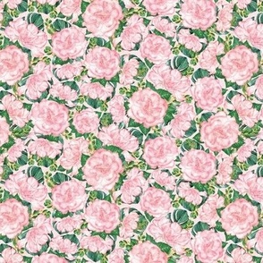 Small rectangular swatch Pink and Green Roses and Monstera