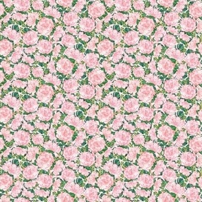 Tiny rectangular swatch Pink and Green Roses and Monstera 4x2.67in repeat