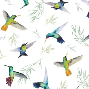 Hummingbirds