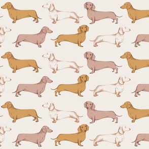 Pink and mustard dachshunds
