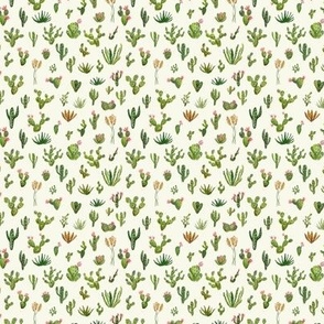 Small scale cactus plants, green and pink on cream