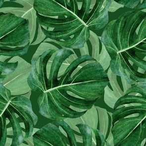 Extra Large Dark Green Watercolor Monstera Leaves 24x24 in Repeat