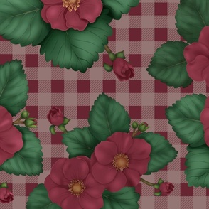Strawberry Red Flower Country Picnic Plaid Blush Pink Large
