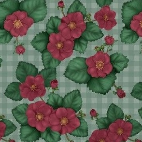 Strawberry Red Flower Country Picnic Plaid Checkered Mint Small