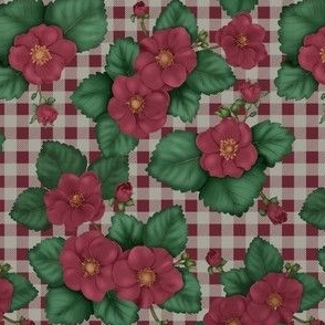 Strawberry Red Flower Country Picnic Plaid Checkered Cream Small