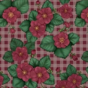 Strawberry Red Flower Country Picnic Plaid Checkered Blush Pink Small
