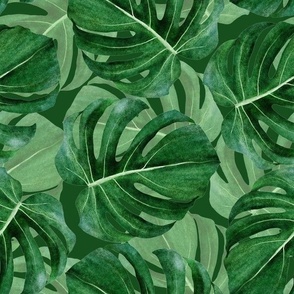 Large Dark Green Watercolor Monstera Leaves 12x12 in Repeat