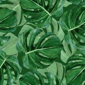 Medium Dark Green Watercolor Monstera Leaves 6x6 in Repeat