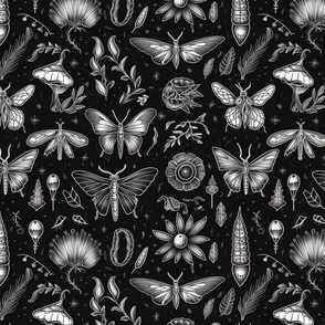 repeating monochrome butterflies 