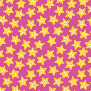 starfruit yellow on magenta xl