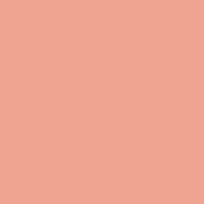 Boho Peach Pink Solid #efa491