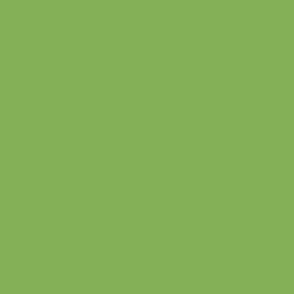 Spring Green Bright Green Solid #84b157