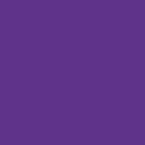 Aubergine Eggplant Deep Rich Purple Violet Solid #5e3387