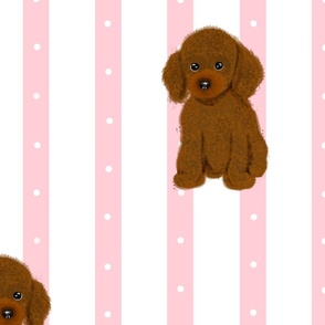 Puppies Polka dots and Stripes!