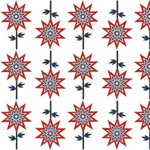 red,white,blue, firework flower