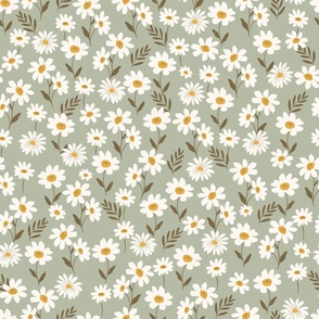 Daisy meadow floral pattern