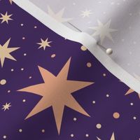 Victorian Starry Celestial Ceiling Purple| Magic Wizard Fantasy Sky Space Stars Tossed - Large Scale