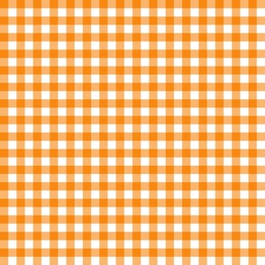 Orange Checks / Farmhouse Checkerbord