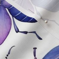 watercolor winged bugs in teal and purple