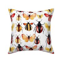 watercolor butteflies and beetles in red and yellow and orange 